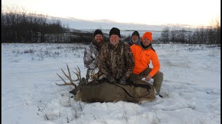 Alberta Muley Buck 2017