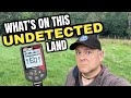 NEW LAND | Metal Detecting | Nokta Triple Score