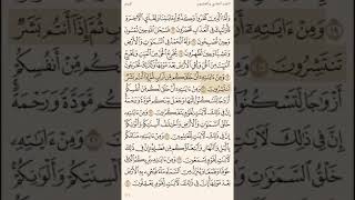 ﴿ومن آياته أن خلقكم من تراب ﴾ تلاوة للشيخ ماهر المعيقلي Maher Al-Muaiqly Surat Ar-Rum Ayat 20-25