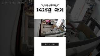 D+437 안전가드 처음넘은날 #육아vlog #육아#14개월아기