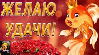 🎆ЖЕЛАЮ УДАЧИ! ВО ВСЁМ, ВСЕГДА, ВЕЗДЕ!💞КРАСИВОЕ ПОЖЕЛАНИЕ🎆