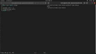 Intro to Python chapter 2.0, Building a timer