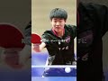 張本選手が中国を倒し金メダル！ 卓球 アジア選手権 shorts