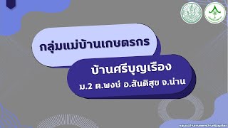 การส่งเสริมและสนับสนุนการดำเนินงานกลุ่มแม่บ้านเกษตรกรบ้านศรีบุญเรือง ต.พงษ์ อ.สันติสุข จ.น่าน