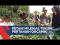 Atasi Keterbatasan Lahan, Petani Milenial Tekuni Pertanian Organik