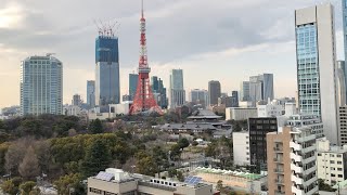 ザ・パークワンズ芝公園 1K 22.23㎡