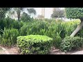 zabeel park dubai a large urban public park walking tour dubai uae zabeel park 4k