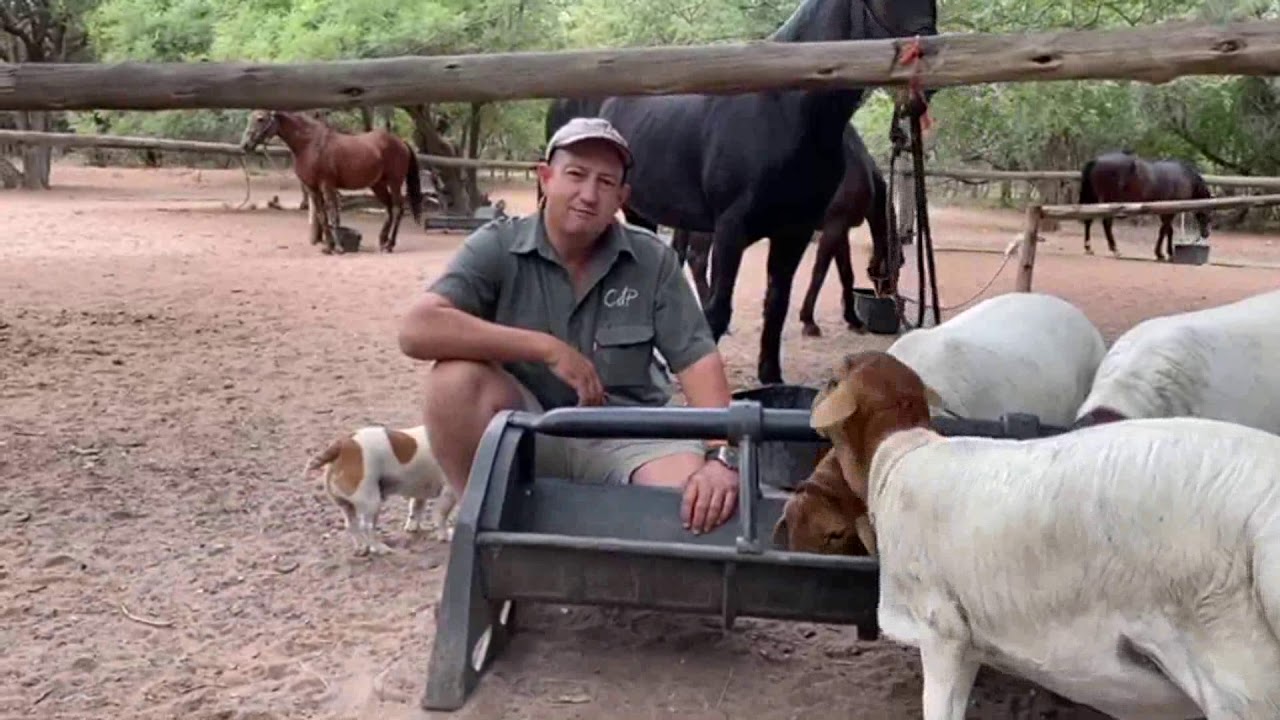 Cdp Auctioneering Services Online Youtube