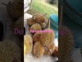 durian tembaga