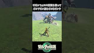 【ティアキン】リザルの尻尾を使ってボコブリン達をボコるリンク【ゼルダの伝説 ティアーズ オブ ザ キングダム】