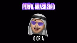 PERFIL BRASILEIRO -  MC TORUGO \u0026 O CRIA NO BEAT🇧🇷 (VÍDEO OFICIAL)