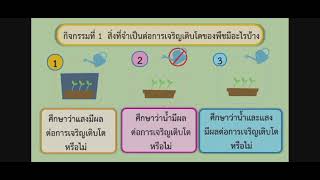 การทดลองสิ่งที่มีผลต่อการเจริญเติบโตของพืช