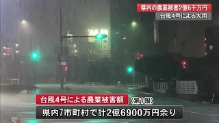 台風4号の農業被害額『2億6900万円余り』へ　須崎市や中土佐町など7市町村に被害【高知】 (22/07/06 19:35)