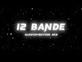 12 bande | slowed reverb song |
