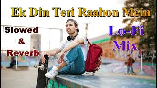 Ek Din Teri Rahoan Main ( Slowed -reverb )  #lofi Mix