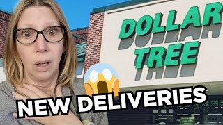 DOLLAR TREE | NEW STORE, NEW LINES | COME SHOP with ME #dollartreefinds