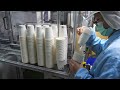 paper cup mass production process. 紙杯大量生產過程 taiwan paper cup factory