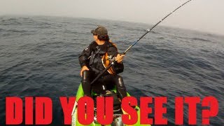 Mystery Ocean Creature Caught on GoPro While Kayak Fishing and still Unidentified!