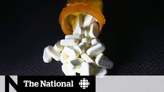 Yukon’s coroner pleads for help after record opioid deaths