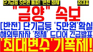 [금양 해외투자자 정체 '반전'] 글로벌 투자유치 성공! 악재 끝! 하락 끝! 단기급등 확정적! 5만원 돌파 한다면?