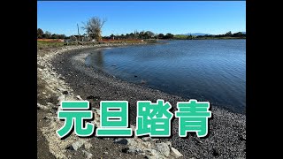 散文Vlog Palo Alto Baylands Nature Preserve 元旦踏青l 2023新年的第一天 l灣區小景點l 矽谷生活l美國硅谷生活l 小眾景點 l加州灣舊金山灣區週末好去處