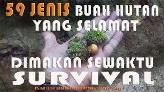 SURVIVAL FRUITS - 59 BUAH HUTAN SELAMAT DIMAKAN