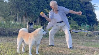 大好きな愛犬を喜ばせたいじいちゃん＆仕方なく付き合う柴犬