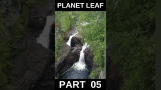 ప్రపంచంలో ఇంకా వీడని 10 మిస్టరీలు - PART 05 #shorts #planetleaf #facts #telugufacts #mysteriousfacts