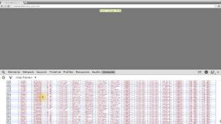 Inspecting Variables and Data - Data Visualization and D3.js