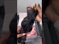 Body Wave Tape In Hair Extensions |Curlsqueen