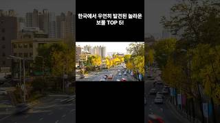 한국에서 우연히 발견된 보물TOP5