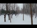 snow walking in beijing dongba【4k】漫步在北京