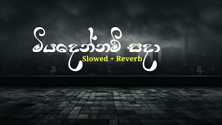 මියදෙන්නම් සදා | slowed + reverb | bass boost