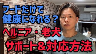 【ホリスティックケアな考えが重要！ドッグフード・キャットフードだけで健康を作れると思いますか？ヘルニア・老犬 サポート\u0026対応方法】15年間ゴミフードを食べてきたパンチ。