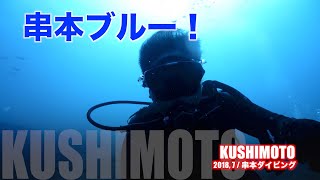 串本ブルー！ダイバー必見の碧い海で潜る！ Scuba Diving in KUSHIMOTO , WAKAYAMA ,JAPAN