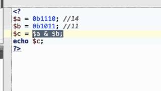 PHP 5.4 Support for Binary Format