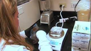 Forensic Sciences Degree Program at Chaminade University