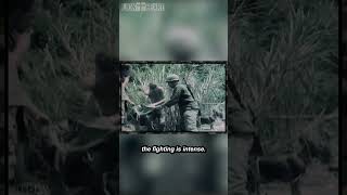 101st Airborne in Vietnam (1967) - Pt 10