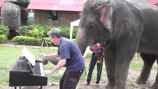 12 Bar Blues   Piano Duet with Peter the Elephant   Thailand