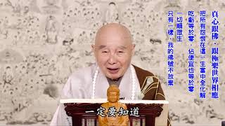 染就是情緒｜是非人我、貪瞋痴慢沒有忘記，往生沒把握｜把所有怨恨在這一生當中全化解｜淨空老法師