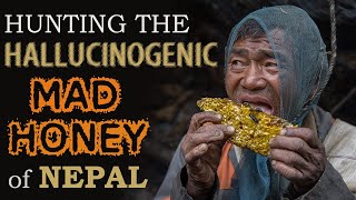 SWEET GOLD  -  The honey hunters of Nepal