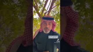 أنواع الأبناء