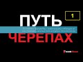 КУРТИС ФЕЙС ПУТЬ ЧЕРЕПАХ. АУДИОКНИГА. ЧАСТЬ 1