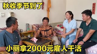 又是一年丰收季，小丽拿2000元雇人干农活，尽量减轻公婆负担