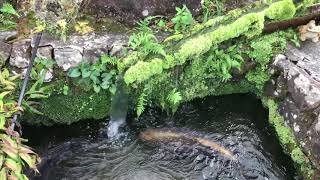 果無集落　奈良県十津川村