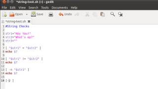 Shell Scripting Tutorial 33 Run Checks On Strings