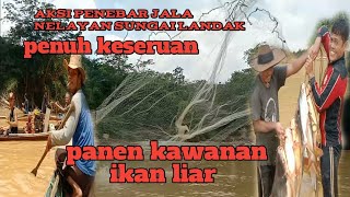 @ronitattonelayan1874 keberuntungan musim kemarau jala rambang