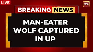 LIVE: How Wolfs Of Bahraich Are Spreading Fear | Wolf Terror' Grips Uttar Pradesh | India Today LIVE