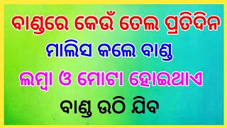 Odia Gk Quiz ||Genera Knowledge Odia || Odia Gk Question And Answers || Gk In Odia || Interesting Gk