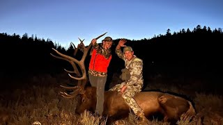 Utah limited entry bull elk! 330\